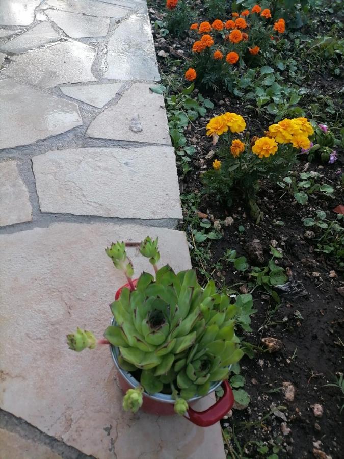 Apartmani 15 Cetinje Exterior foto